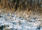 20040101 35 sneeuw